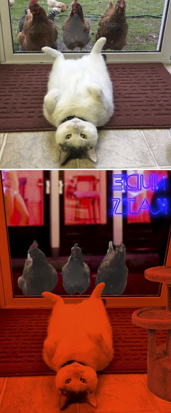 30. "Кот и курицы"