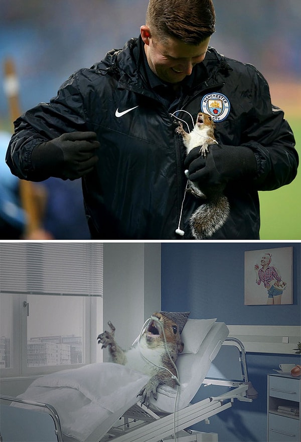 40. "Белку прогоняют с футбольной площадки"