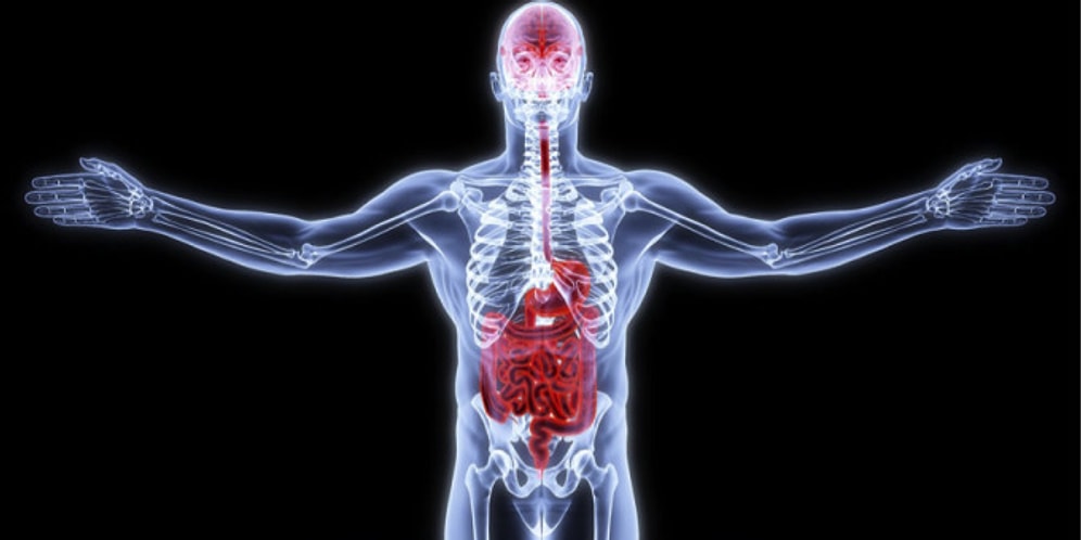 96% людей с высшим образованием заваливают этот тест на знание «интересных» частей тела