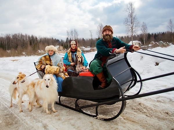 10. Чтобы сдвинуть с места сани потребовалось 800 ньютонов.  Какое усилие потребуется, чтобы катить эти сани по ровной местности?