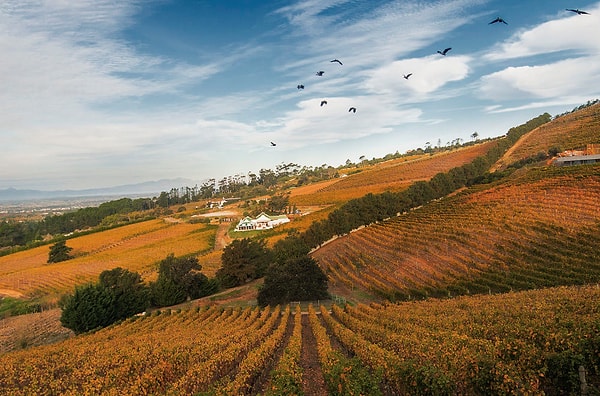 5. Кейптаун, Южная Африка