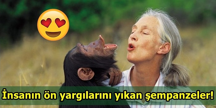 Ben Yaptım Oldu Değil! İşte Dünyanın Akışını Değiştiren 10 Hayvan Dostumuz