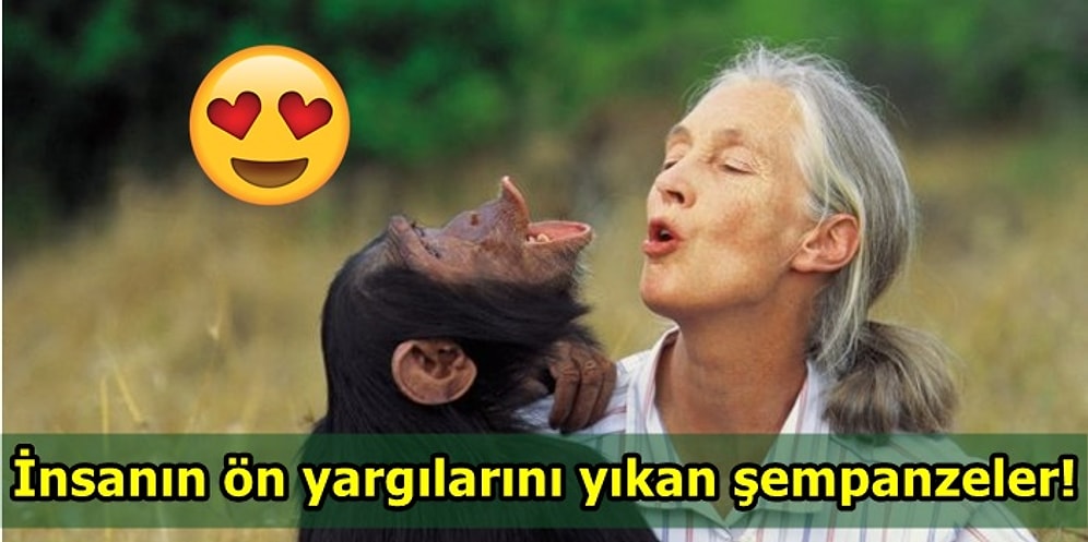 Ben Yaptım Oldu Değil! İşte Dünyanın Akışını Değiştiren 10 Hayvan Dostumuz