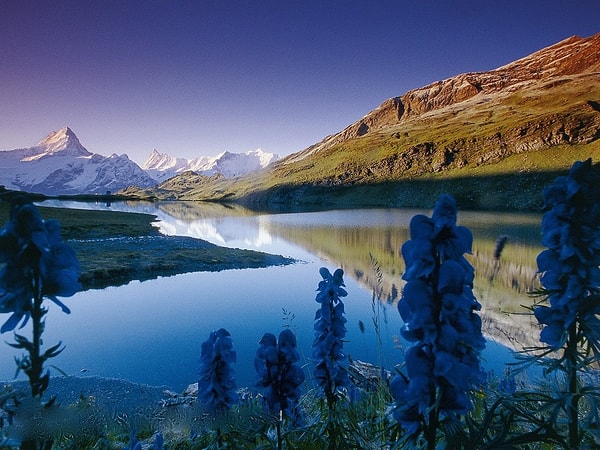 2. Какой пейзаж вам нравится больше всего?