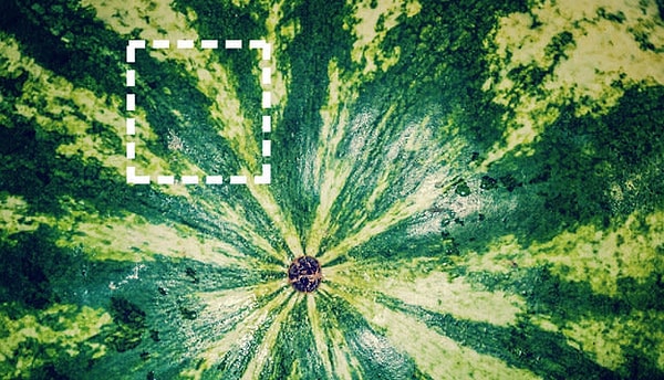 Показать правильный ответ