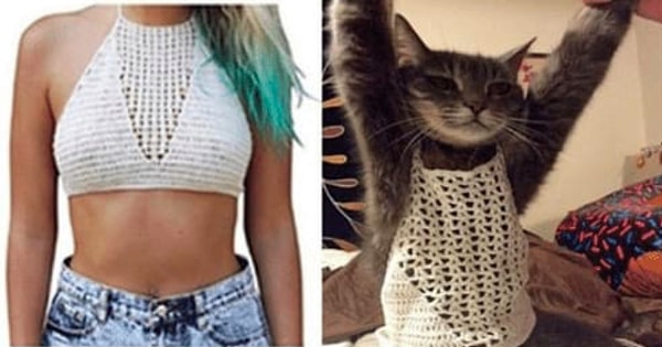 4. Когда заказываешь вещь для себя, а подходит она только для кота 😹