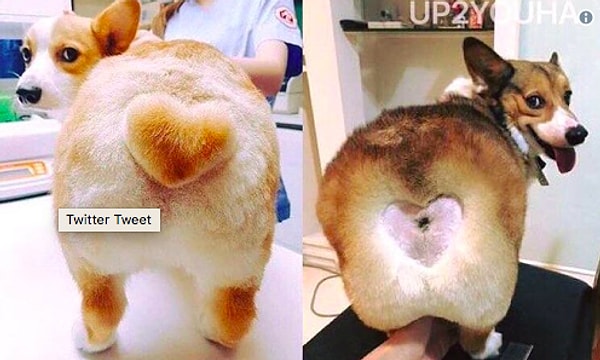 18. ❤️❤️❤️