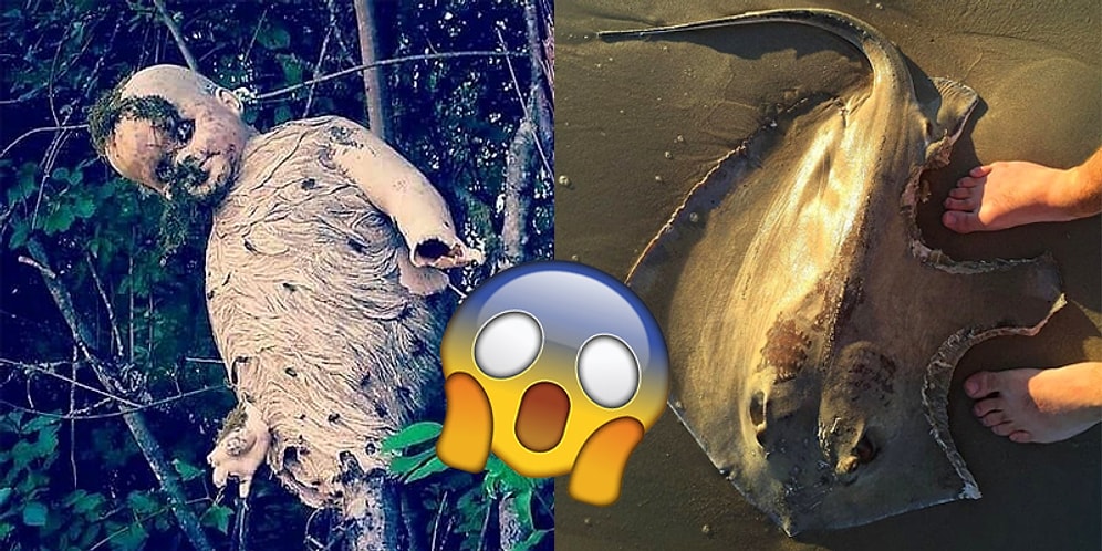 22 пугающие до чертиков фотографии того, на что способна матушка-природа