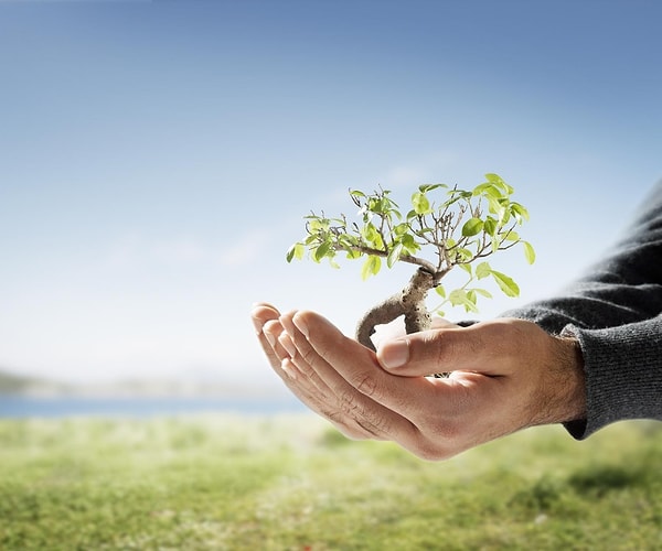 2. Не потакайте себе