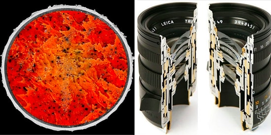 Вы будете в шоке, увидев, как выглядят привычные нам вещи, если их разрезать пополам