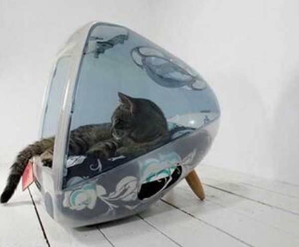 9. Кошкин дом