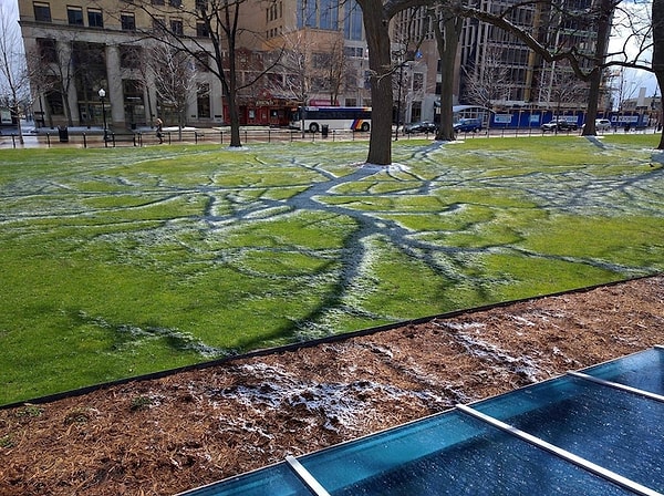 13. Снег не растаял в тех местах, где дерево отбрасывало тень, и вышло потрясающе 😍