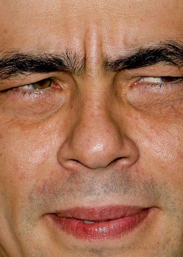 2. Бенисио Дель Торо