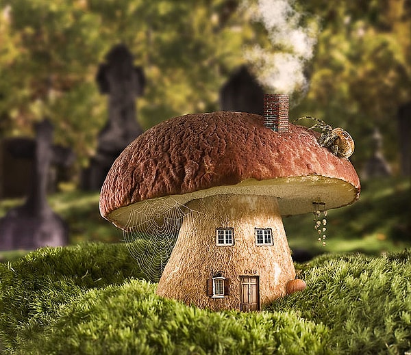 8. Ну что за прелесть!