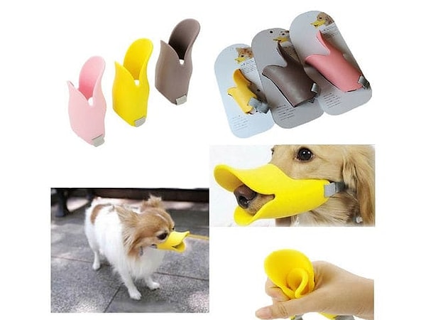 Показать правильный ответ