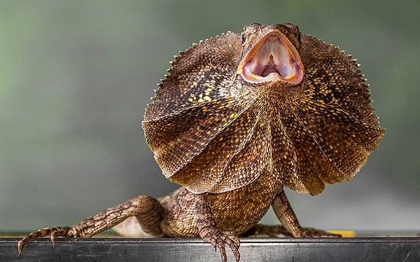 Браво! В точку!