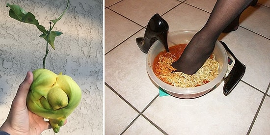 17 фоток, способных вызвать как улыбку, так и неприязнь