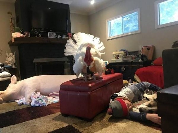 11. Проснуться утром вот так! 😂