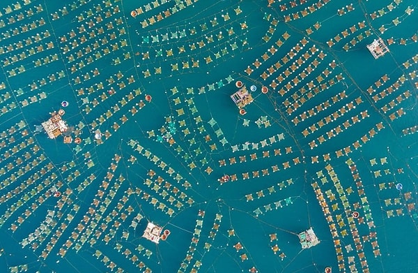 3. "Ферма лобстеров", Транг Фам. Первое место в категории "Пейзаж" (команда любителей)