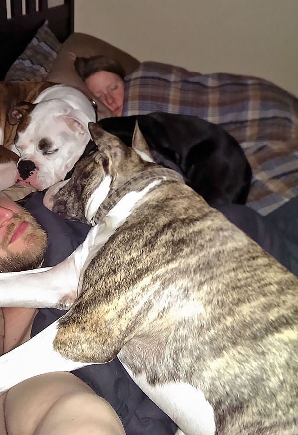 5. "После долгих споров я-таки доказал своей жене, что ей спиться лучше, чем мне!"