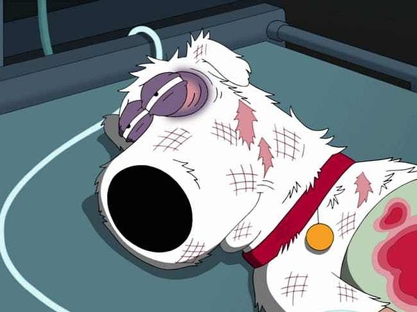 1. Брайан Гриффин