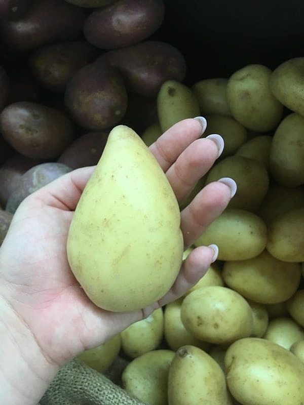 17. Картошка или груша? Груша или картошка? 🍐🥔