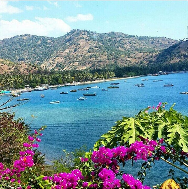 6. Телеукнарат, Индонезия