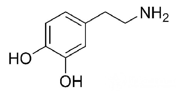 7. Ученые считают, что дежавю может быть напрямую коррелирован (связан) с уровнем дофамина в мозге. Это также объясняет, почему молодые люди испытывают дежавю чаще.
