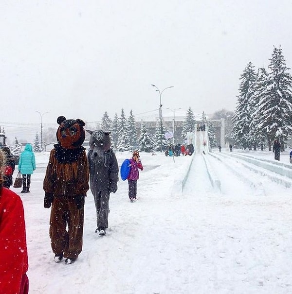 6. Вот и объекты дикой природы, так сказать!