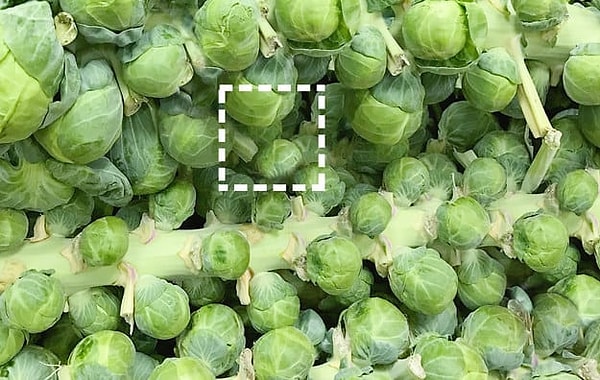 Посмотреть правильный ответ: