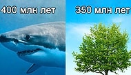 15 сумасшедших фактов о нашем мире, от которых у вас челюсть упадет на пол