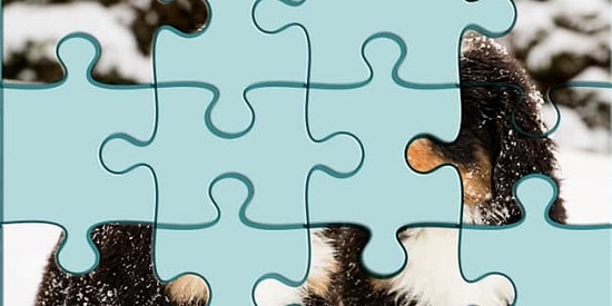 Самый простой тест: Сможешь ли ты собрать этот мини-пазл?