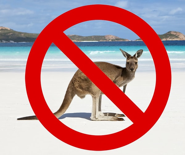 6. «С ее уровнем образования, как можно не знать, что Австралия – это страна? – задается вопросом Арнольд. – Если же у нее возникли сомнения, почему она просто не загуглила?»