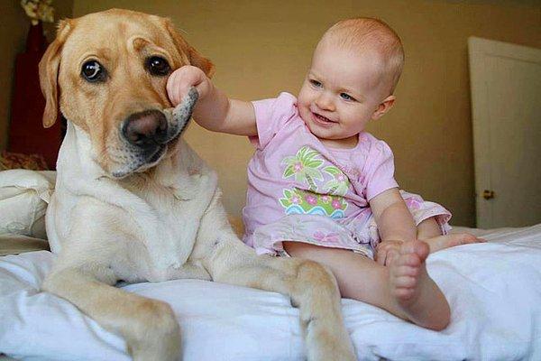 8. Bebeklerle, çocuklarla bir arada olmanın ve hayvanları sevmenin sağaltıcı etkisinden yararlanın.