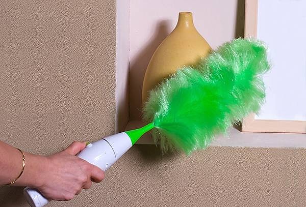 3. Как называются мохнатые разноцветные щетки для обметания пыли?