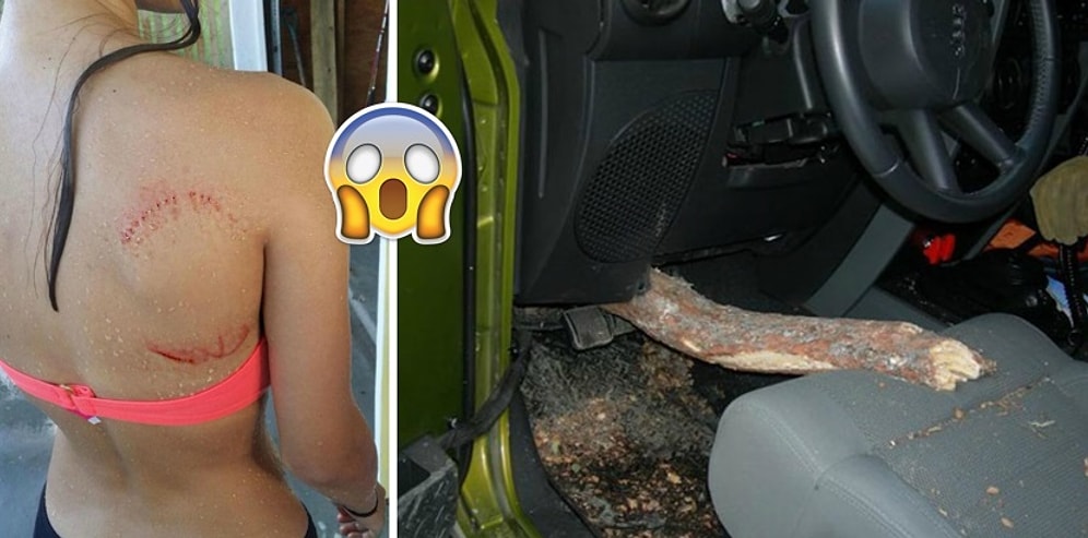 19 случаев, когда люди были в шаге от катастрофы, но чудом смогли ее избежать