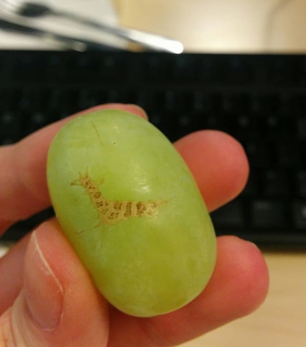 3. Виноградинка с жирафом...