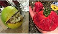 11 фото фруктов, которые восхитят вас, и 11 фото, от которых захочется сказать: "Фу, уберите это от меня!"