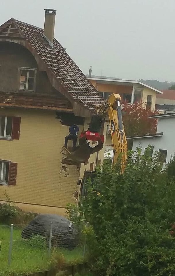 23. Неужели никто из них не боится высоты?  😖