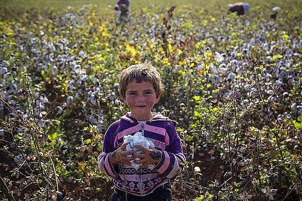 Adana’da çocuk işçiliği sanayi ve tarımda yaygın ve bu nedenle çocuk işçi ölümlerinde ilk sırada yer alıyor.