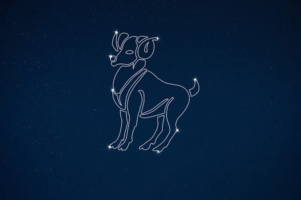 Вы знаете людей знака Овен как свои пять пальцев!