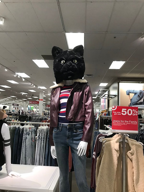 16. Так вот как должна на самом деле выглядеть Женщина-кошка