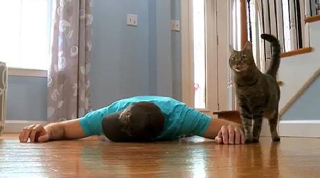Bayılma Numarası Yaparak Kedi Dostunun Tepkisini Ölçen Adamın Efsane Deneyi