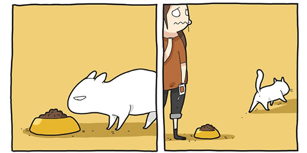 Sadece Bir Kediyle Yaşayanların Anlayabileceği 12 Durum