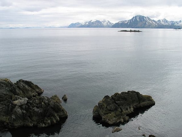 10. Между какими двумя странами находится Берингов пролив?