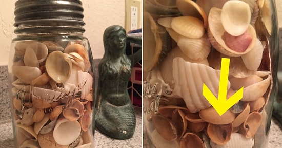 10 мужей, которые облажались самым милым способом