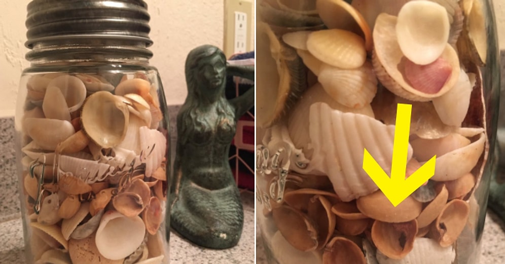 10 мужей, которые облажались самым милым способом