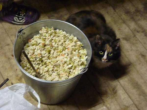 10. Вы готовите "Оливье" на праздники?