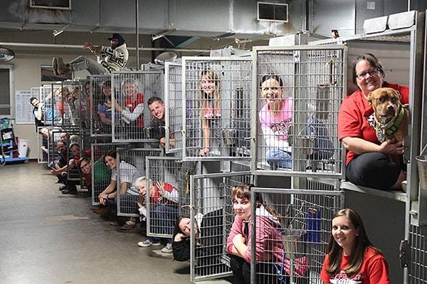 5. Missouri Hayvan Barınağı, boş kalan kafesleri yani sahiplenilen onlarca hayvanı işte böyle kutladı.