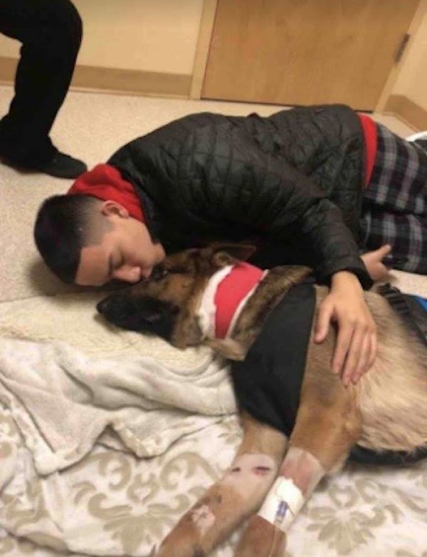 8. Однако они все же смогли собрать необходимые средства с помощью своих друзей и соседей, открывших сбор денег для Рекса, которого сейчас называют Пес Герой.